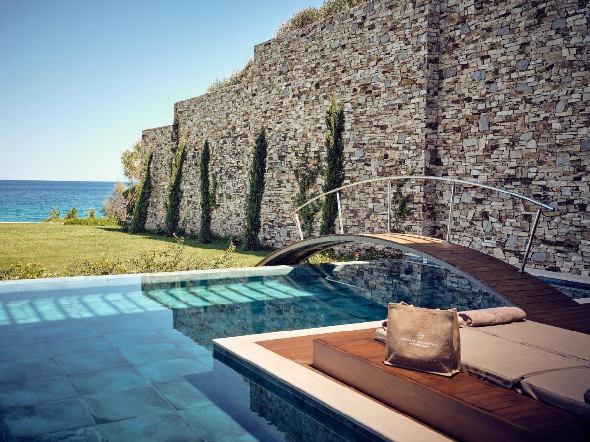 Lesante Blu - The Leading Of The World, Adults Only 5*