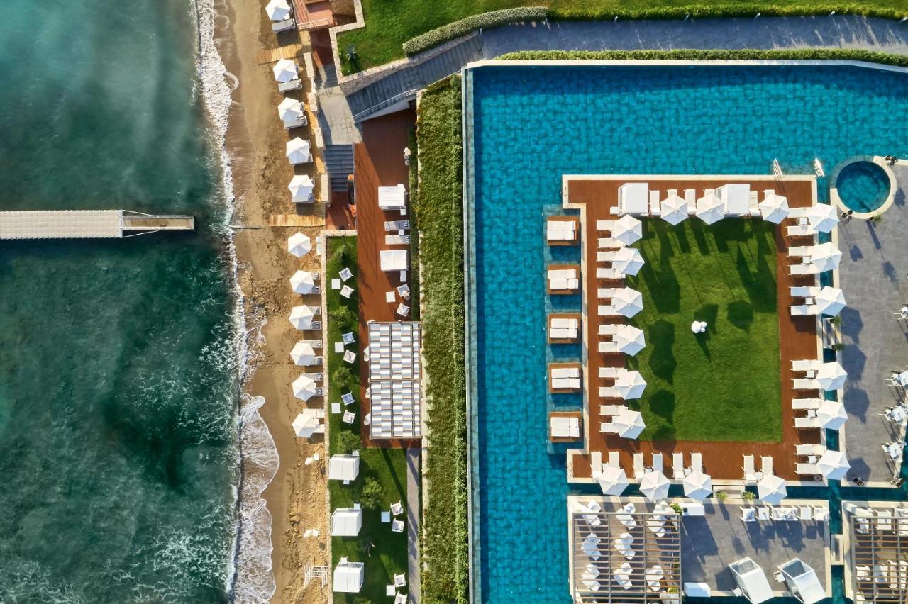 Lesante Blu - The Leading Of The World, Adults Only Tragaki